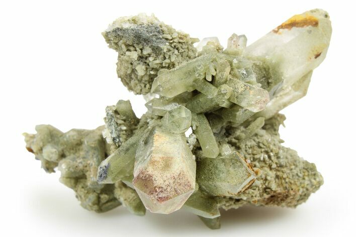 Chlorite Included Quartz Crystal Cluster - Pakistan #253182